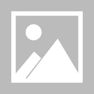 MK体育官网-郑州高新区实验中学在2026年全区中小学生田径运动会中喜获佳绩|郑州中学|郑州市|河南省|季军|田径场